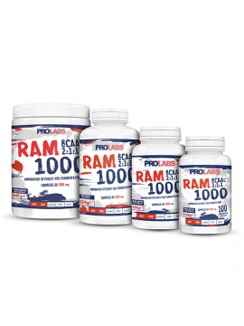 ram1000-4formati